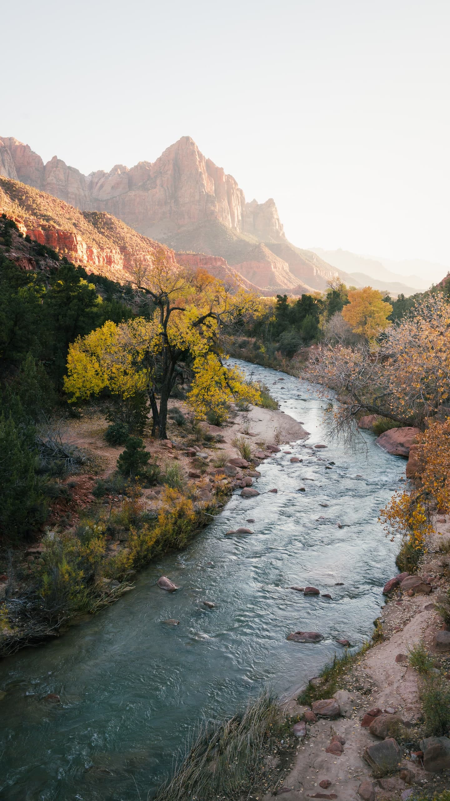 The Virgin River winding through Zion Canyon, the Watchman peak lit at sunrise.