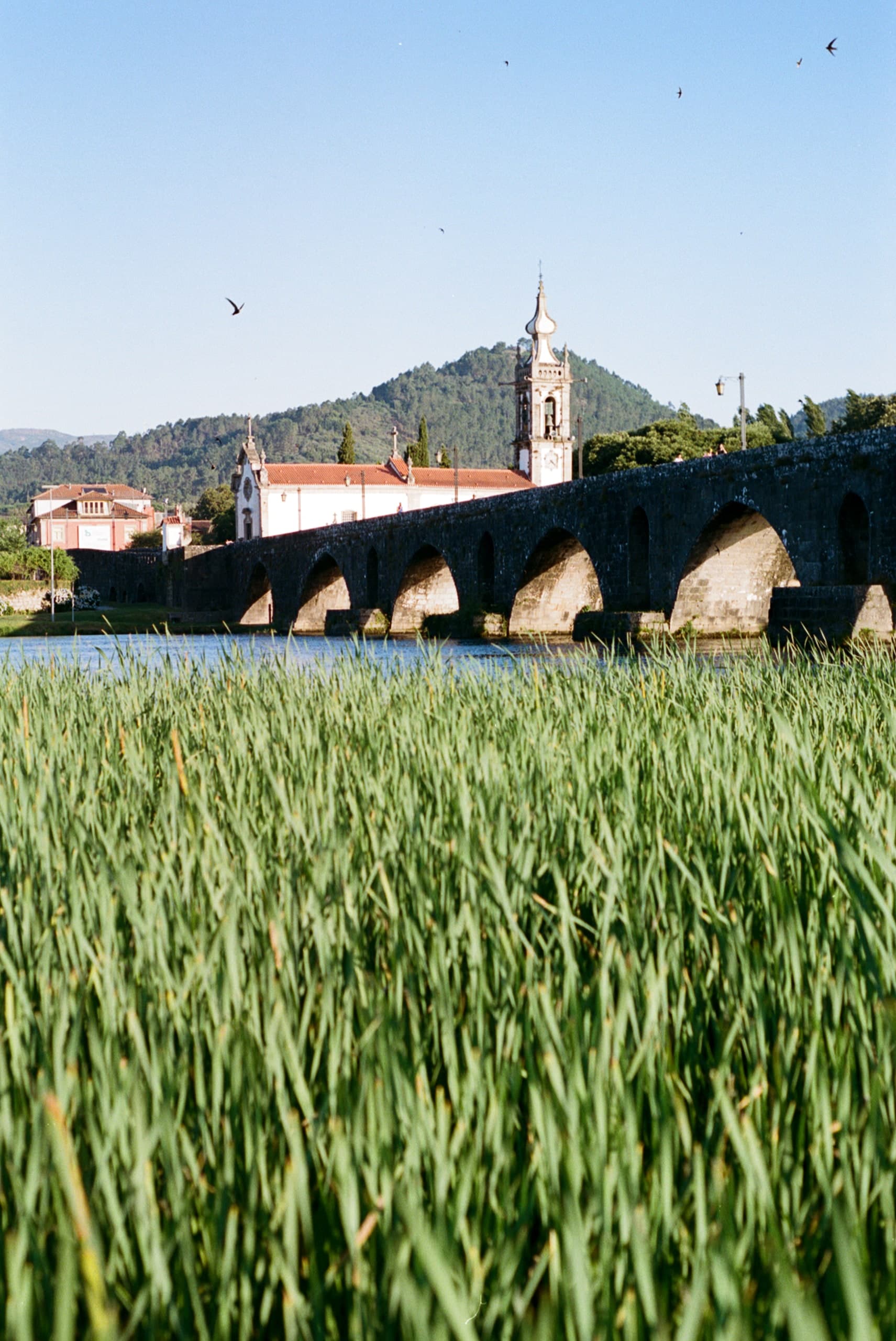 A stone bridge over a river, seen through tall green grass.