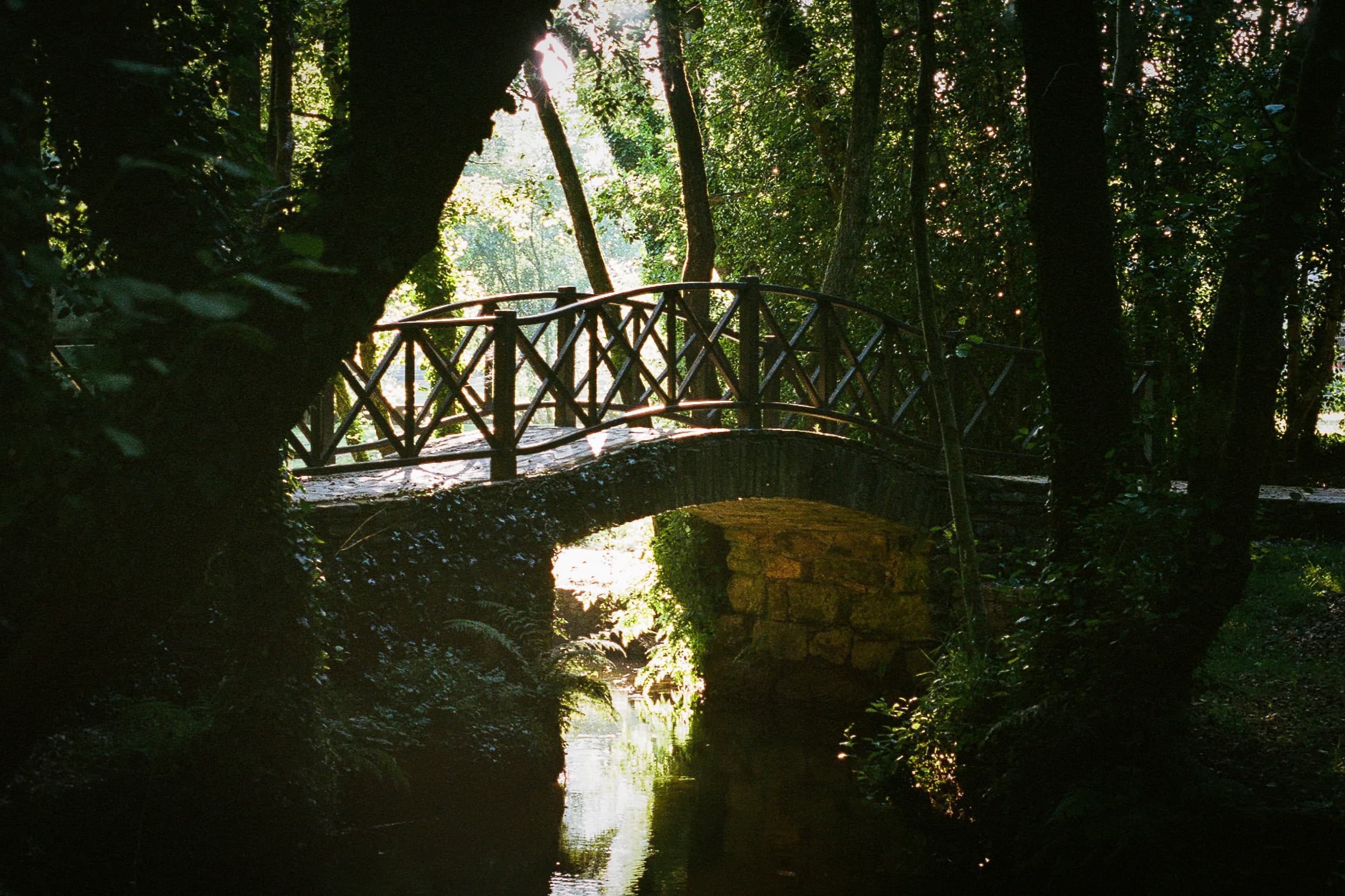 A small stone footbridge over a stream in a shaded forest.