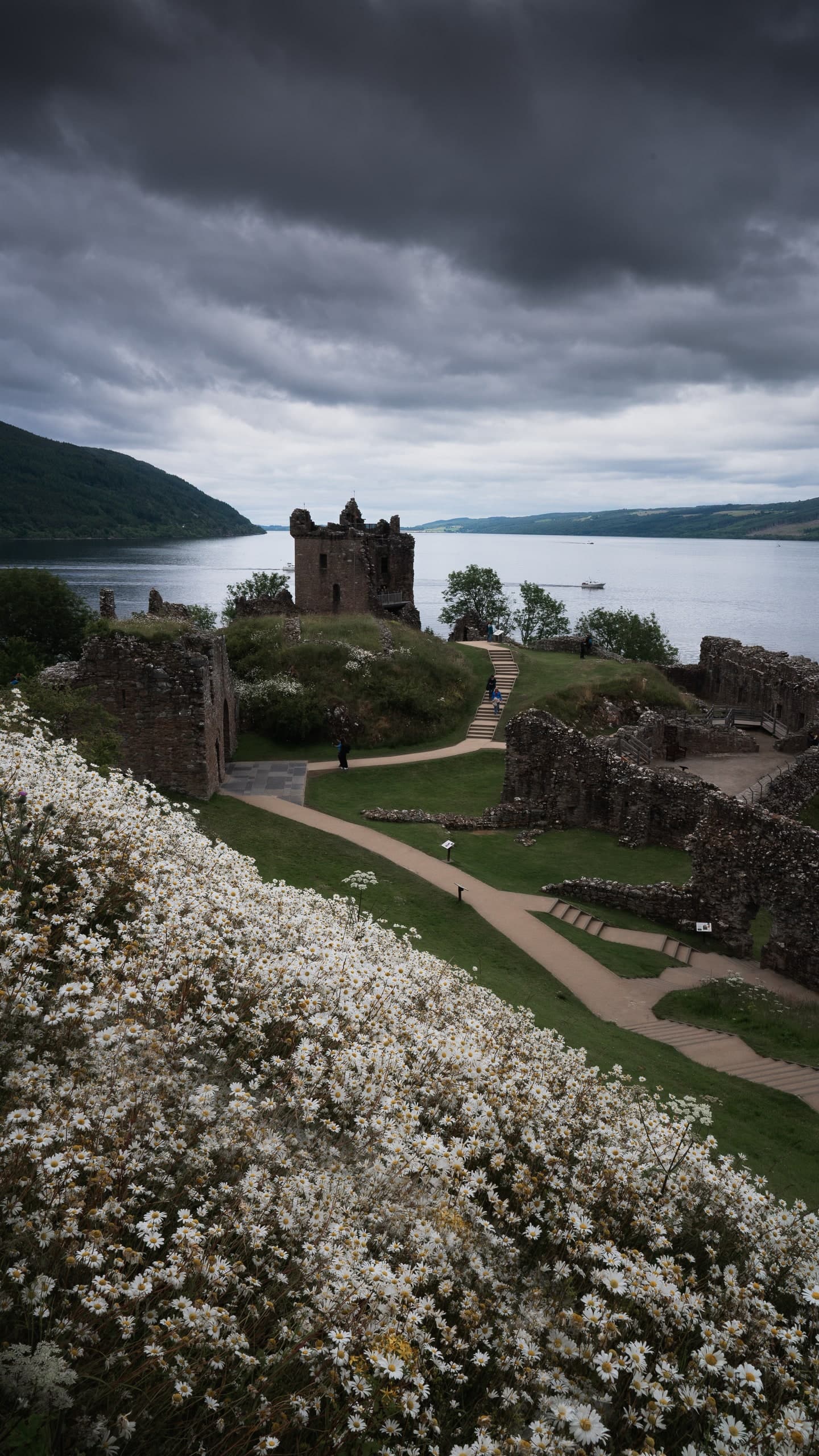 The ruins of Urquhart Castle on the shore of Loch Ness, framed by wildflowers.